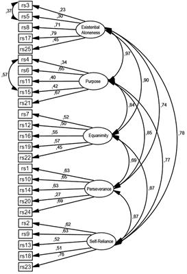 The Polish Version of the Resilience Scale 25: Adaptation and Preliminary Psychometric Evaluation